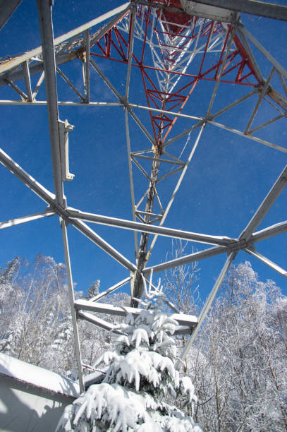 istock Frozen television or cellular tower in the winter 1319560260