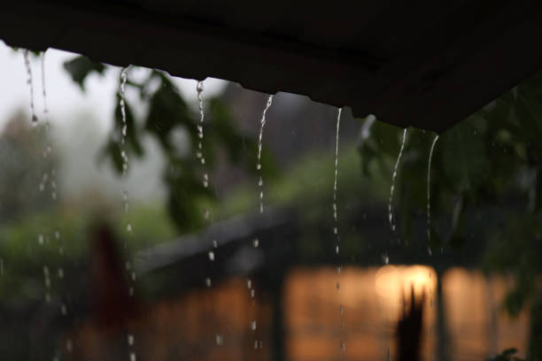 istock Rain drops falling from a black umbrella concept for bad weather, winter or protection 1319562248
