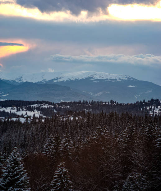 istock Winter forest after snowfall in the mountains 1319563554