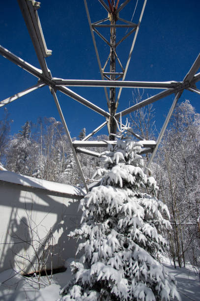 istock Frozen television or cellular tower in the winter 1319563595