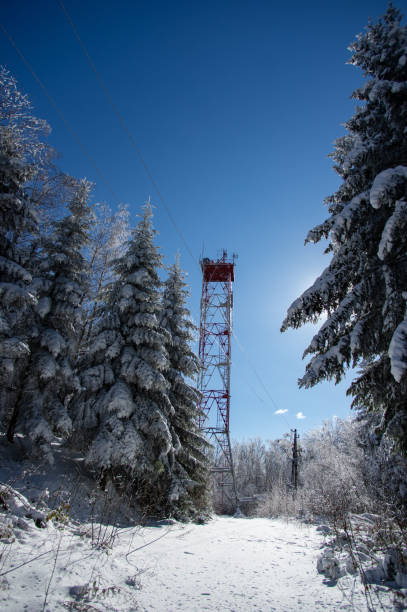 istock Frozen television or cellular tower in winter in the mountains 1319564255