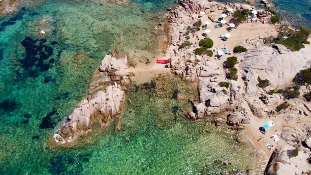 istock Aerial view of Sardinian beach 1319566494