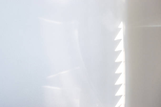 istock Shadows on wall. Abstract light, black shadow overlay from window on white texture wall. Sunlight architecture background. For product presentation, backdrop and mockup, summer seasonal concept. 1319568593