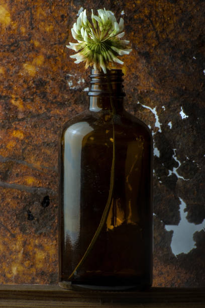 istock Clover Flower in Brown Bottle on Rusted Background 1319568704