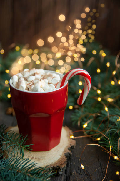 istock Christmas background candy cane branches Hot Chocolate Beverage dried orange slices on dark background. Holiday card. Top view 1319568753