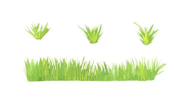 istock Grass set isolated on a white background. Green watercolor horizontal grass clipart. Hand-drawn landscape illustration. Bright freshness plants border for your design. Outdoor object. 1319569821