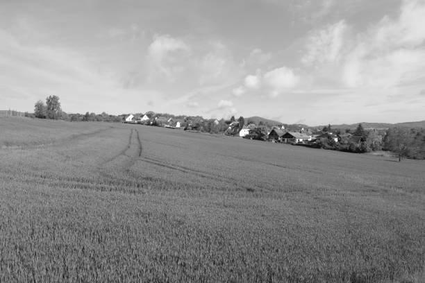 istock Niedermendig at the edge of the Fields 1319570133