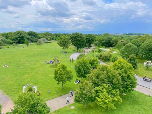 istock Park square seen from above 1319570684