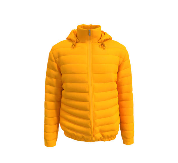 istock Men's warm sport puffer jacket isolated over white background 1319571126
