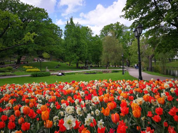 istock Park in Riga with bright tulips 1319574711