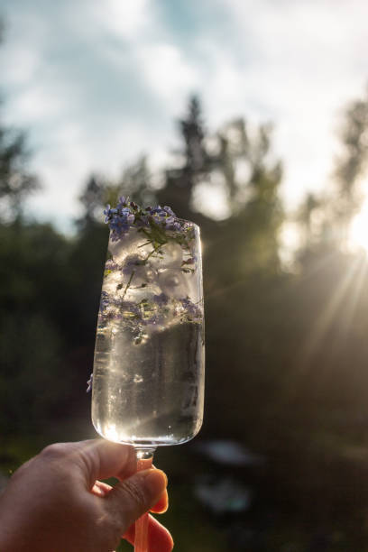 istock Glasses with water and ice with blue flowers 1319575773