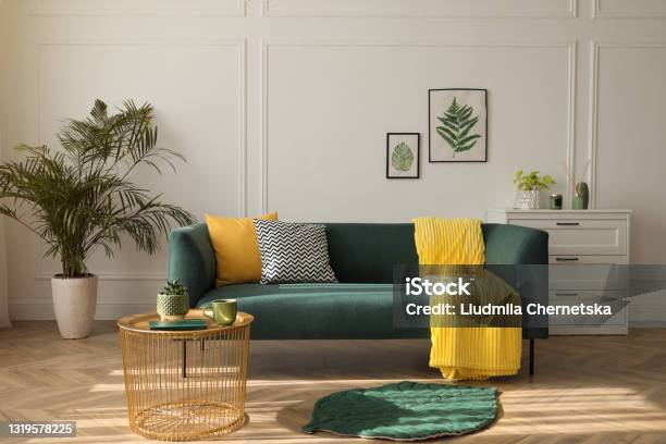 Stylish Living Room Interior With Comfortable Green Sofa Stock Photo - Download Image Now