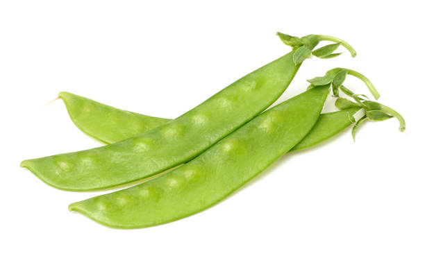 Snow peas stock photo