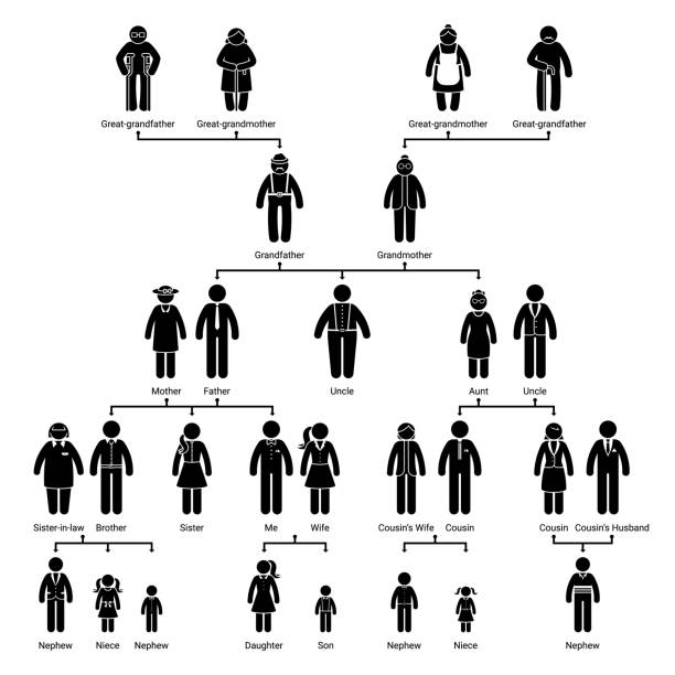 ilustraciones, imágenes clip art, dibujos animados e iconos de stock de figura de palo de árbol genealógico conjunto de iconos genealógicos de las personas. stickman estructura lineal humana de relaciones familiares pictograma silueta sobre fondo blanco - cousin