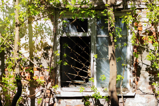 istock An old broken window in a brick building. A window in an abandoned building. Ruined architecture. 1319588494