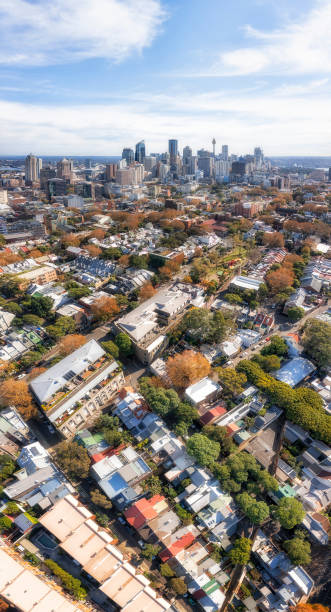 D Sydney Surry Hills Vert pan