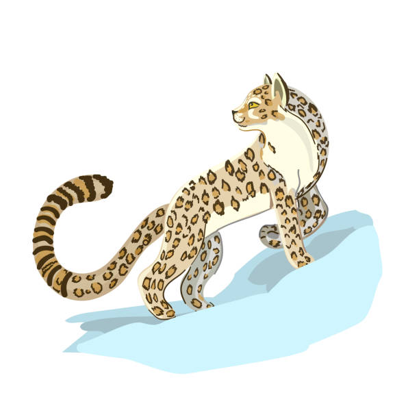Ilustración de Leopardo De Las Nieves En La Nieve Un Animal Felino Salvaje Aislado Sobre Fondo Blanco y más Vectores Libres de Derechos de Onza - iStock Ilustración de Leopardo De Las Nieves En La Nieve Un Animal Felino Salvaje Aislado Sobre Fondo Blanco y más Vectores Libres de Derechos de Onza - iStock