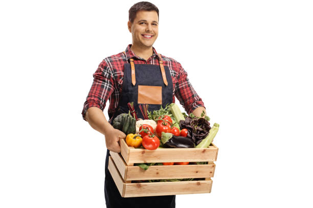 istock Young male market worker with vegetables in a crate 1319592413