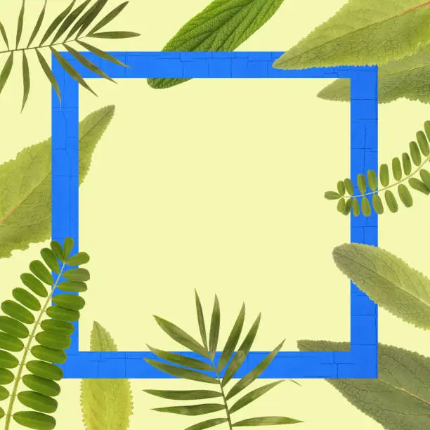 Photo of Beautiful plant leaves frame copy space background. Botanic layout with empty space on yellow backdrop