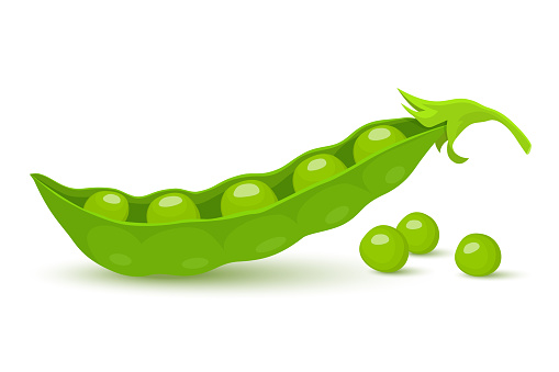 Green pea. Green peas pods isolated on white background, vector flat style