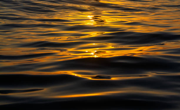 istock golden texture of sea waves during sunset 1319597897