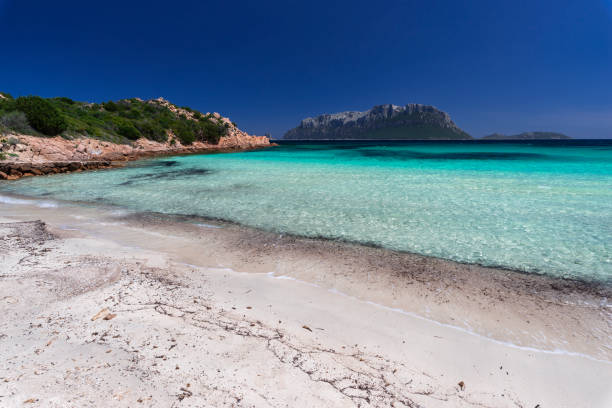istock Doctor's beach, Olbia - Sardinia 1319600421