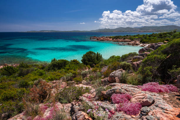 istock Doctor's beach, Olbia - Sardinia 1319600433