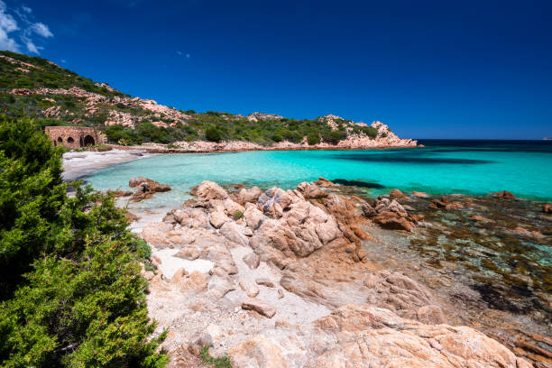 istock Doctor's beach, Olbia - Sardinia 1319600513