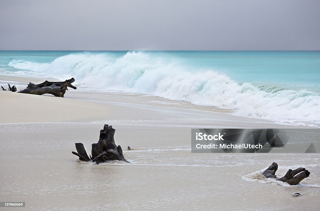 Alte onde presso la spiaggia dei Caraibi - Foto stock royalty-free di Acqua