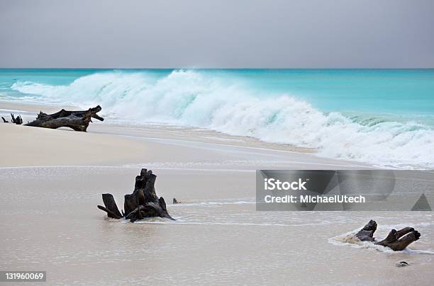 Alte Onde Presso La Spiaggia Dei Caraibi - Fotografie stock e altre immagini di Acqua - Acqua, Albero tropicale, Ambientazione esterna