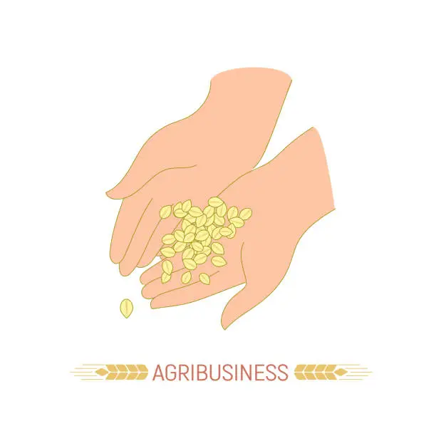 Vector illustration of Grains in the hands