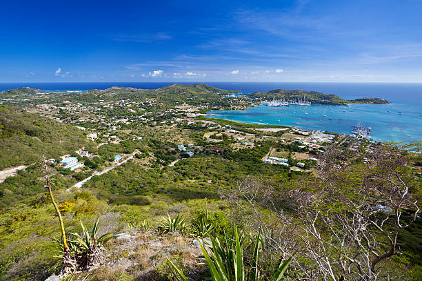 istock Falmouth Area, Antigua 131960198