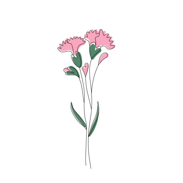 minimalistische moderne rosa nelkenblume, linie kunst mit bunten abstrakten formen. trendige eine linie zeichnung. einfaches, klares design. nelkenblüte. vektor-illustration. - dianthus stock-grafiken, -clipart, -cartoons und -symbole