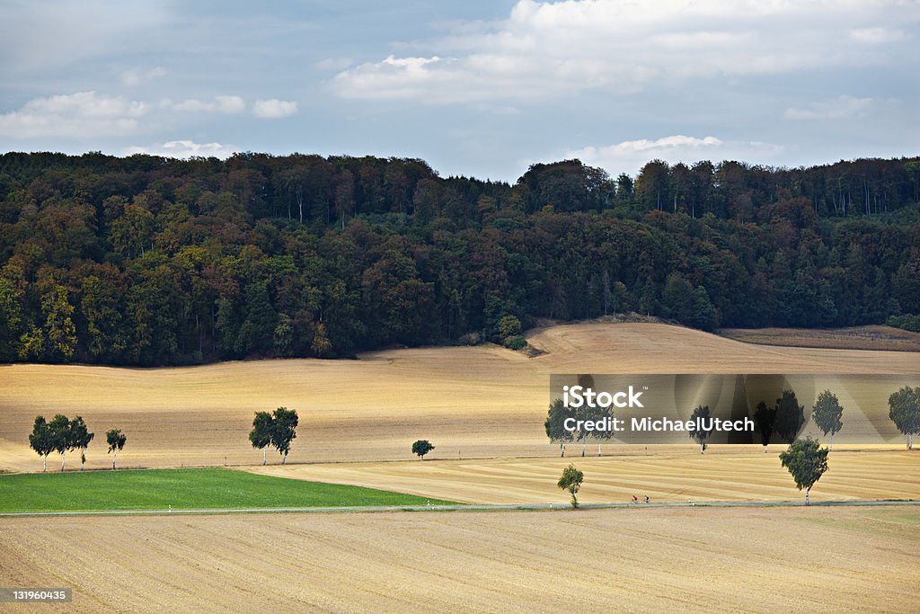 Landwirtschaftliche Hill Landschaft - Lizenzfrei Anhöhe Stock-Foto