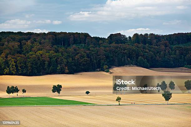 Landwirtschaftliche Hill Landschaft Stockfoto und mehr Bilder von Anhöhe - Anhöhe, Baum, Blau