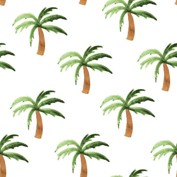 palma akwarela bez szwu wzór - pattern coconut palm tree frond textile stock illustrations