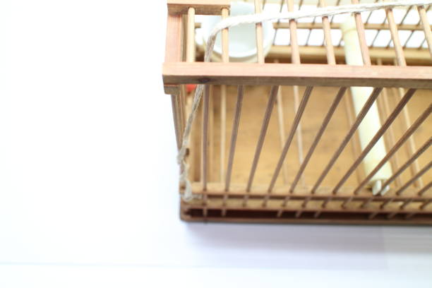 istock Birdcage seen from diagonally above 1319605401