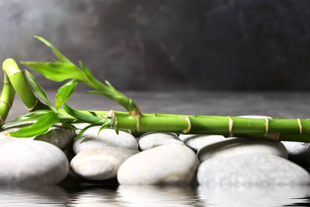istock Spa stones with bamboo in water as a wellness concept 1319610818