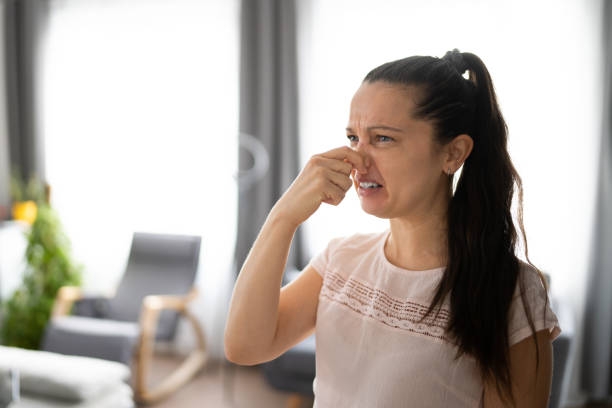 mal olor al aire acondicionado en casa - smell fotografías e imágenes de stock