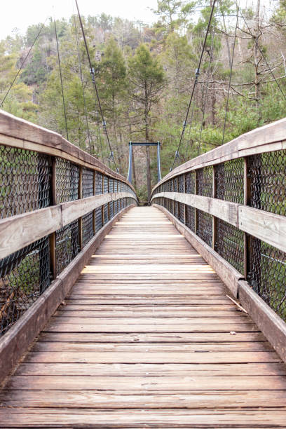 istock Wooden suspension bridge in the forest 1319611213
