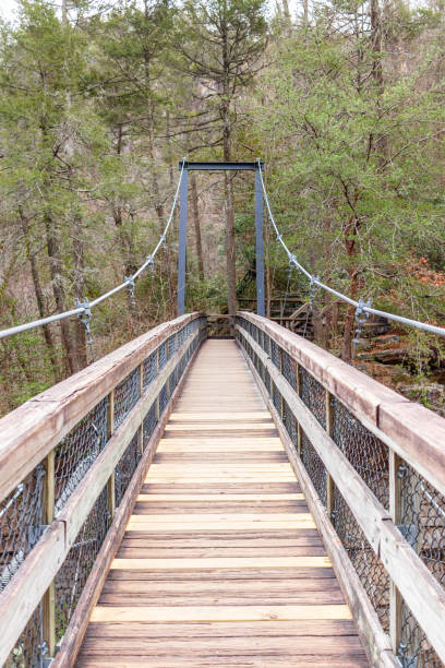 istock Wooden suspension bridge in the forest 1319611228