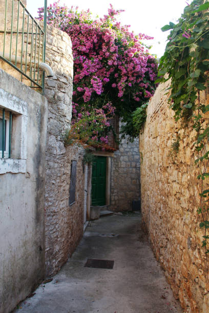 istock Street in town Supetar on Brac island 1319613112