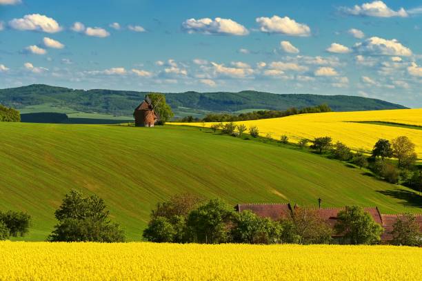 istock Beautiful spring landscape with blue sky, sun, clouds and old windmill. 1319613349
