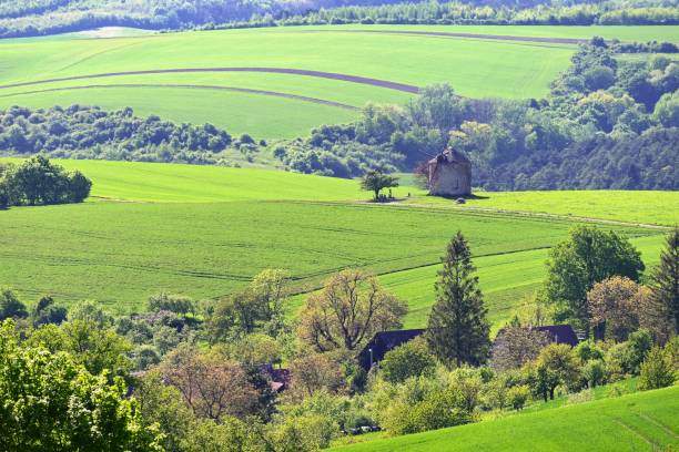 istock Beautiful spring landscape with blue sky, sun, clouds and old windmill. 1319613373