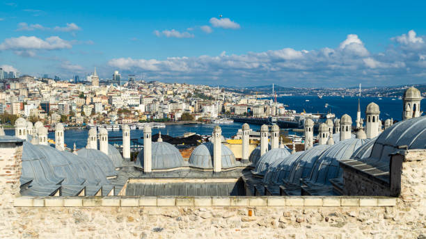 istock Istanbul Bosphorus view from Suleymaniye Mosque 1319616033