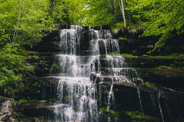 istock Waterfall Tupavica at Stara planina mountain 1319616235