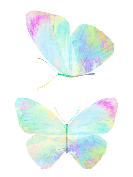 istock watercolor butterfly. tropical insect for design. isolated on white background 1319616534