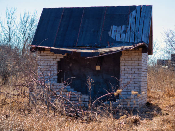 casa de tijolos quebrado com um telhado quebrado em um dia ensolarado de primavera entre os matagals amarelos de grama. - house farm brick chimney - fotografias e filmes do acervo