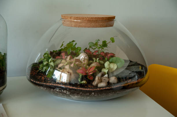 istock Beautiful jar with live forest with self ecosystem, terrarium, forest in a jar 1319621849