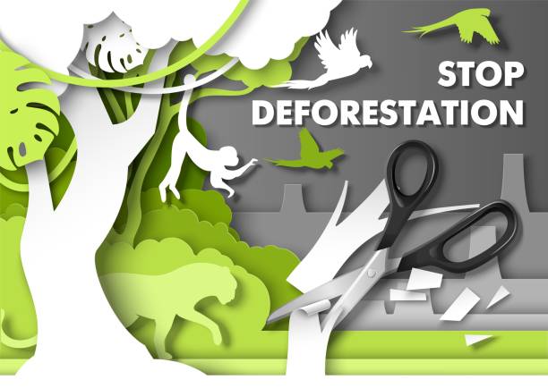 illustrations, cliparts, dessins animés et icônes de arrêtez l’affiche de déforestation. animaux de jungle regardant des ciseaux coupant l’arbre de forêt tropicale, illustration coupée de papier vecteur. - deforestation